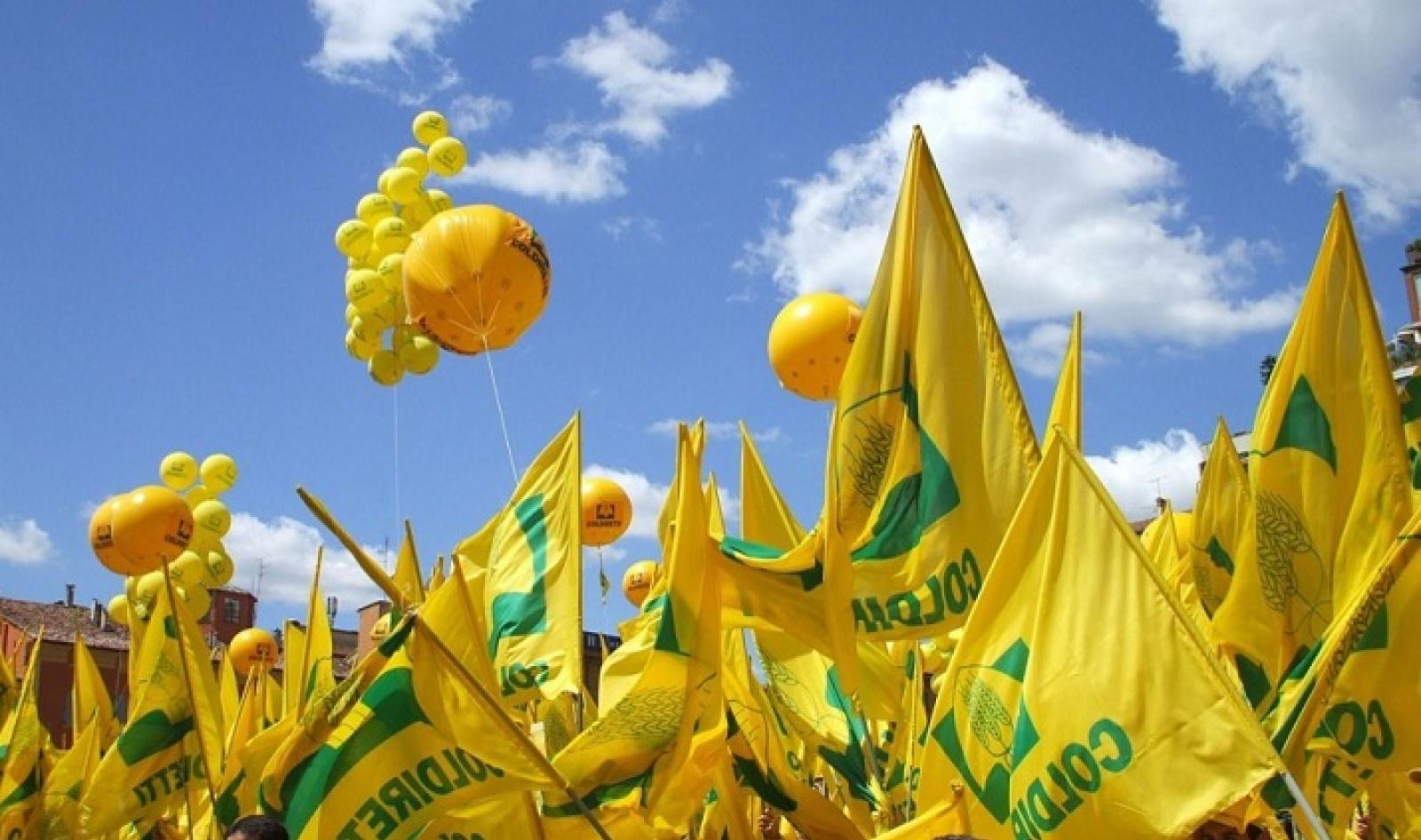 Rovigo &egrave; la 2&deg; provincia del Veneto per superficie coltivata a indirizzo biologico