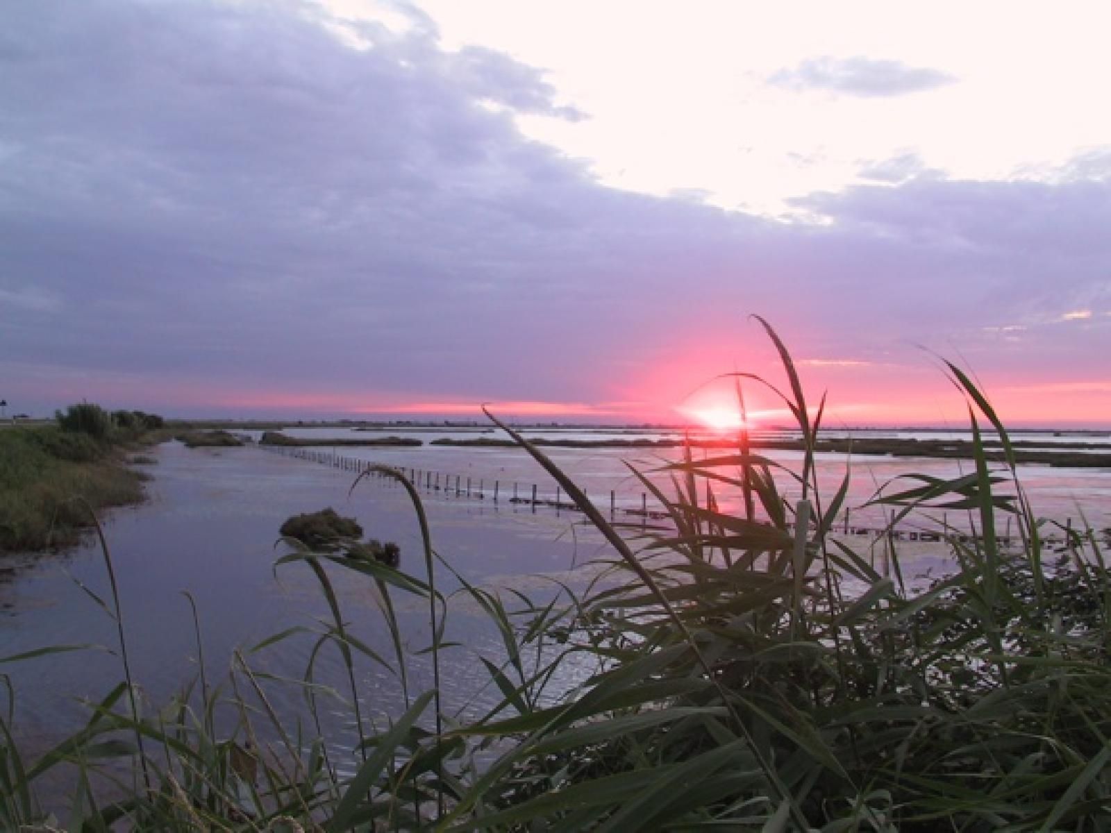 Al via i lavori per il museo diffuso delle Valli di Rosolina