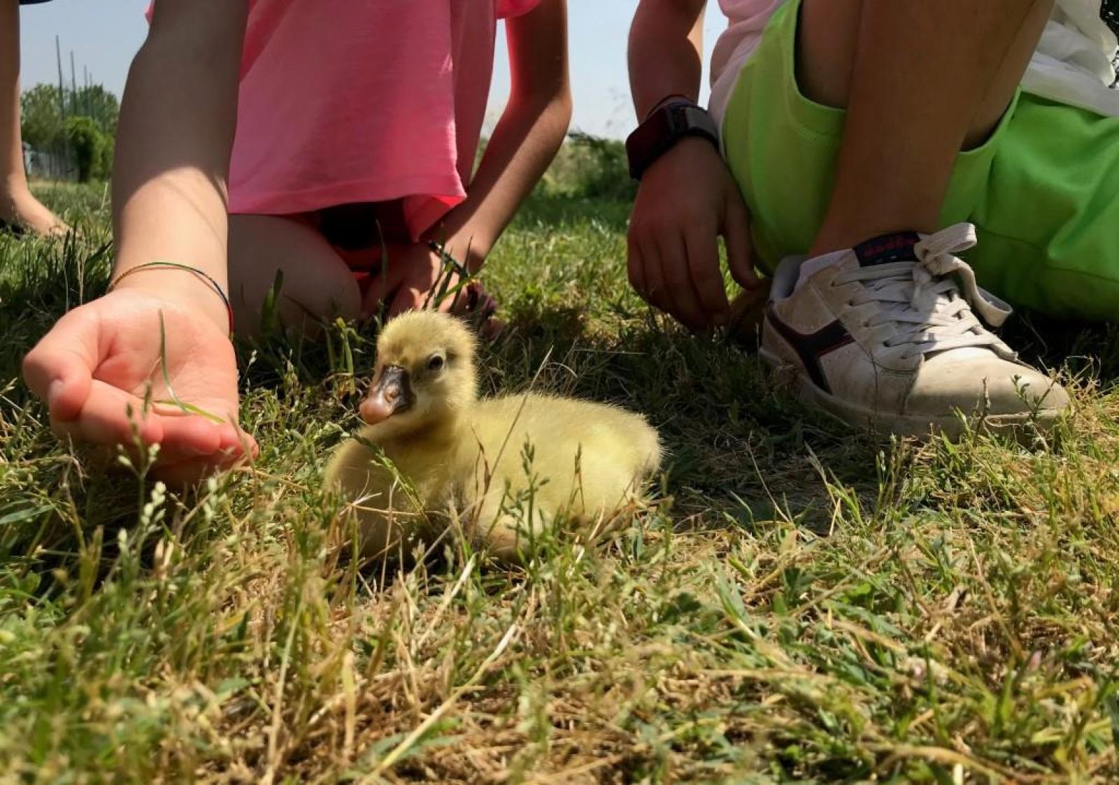 Una giornata alla scoperta della natura 
