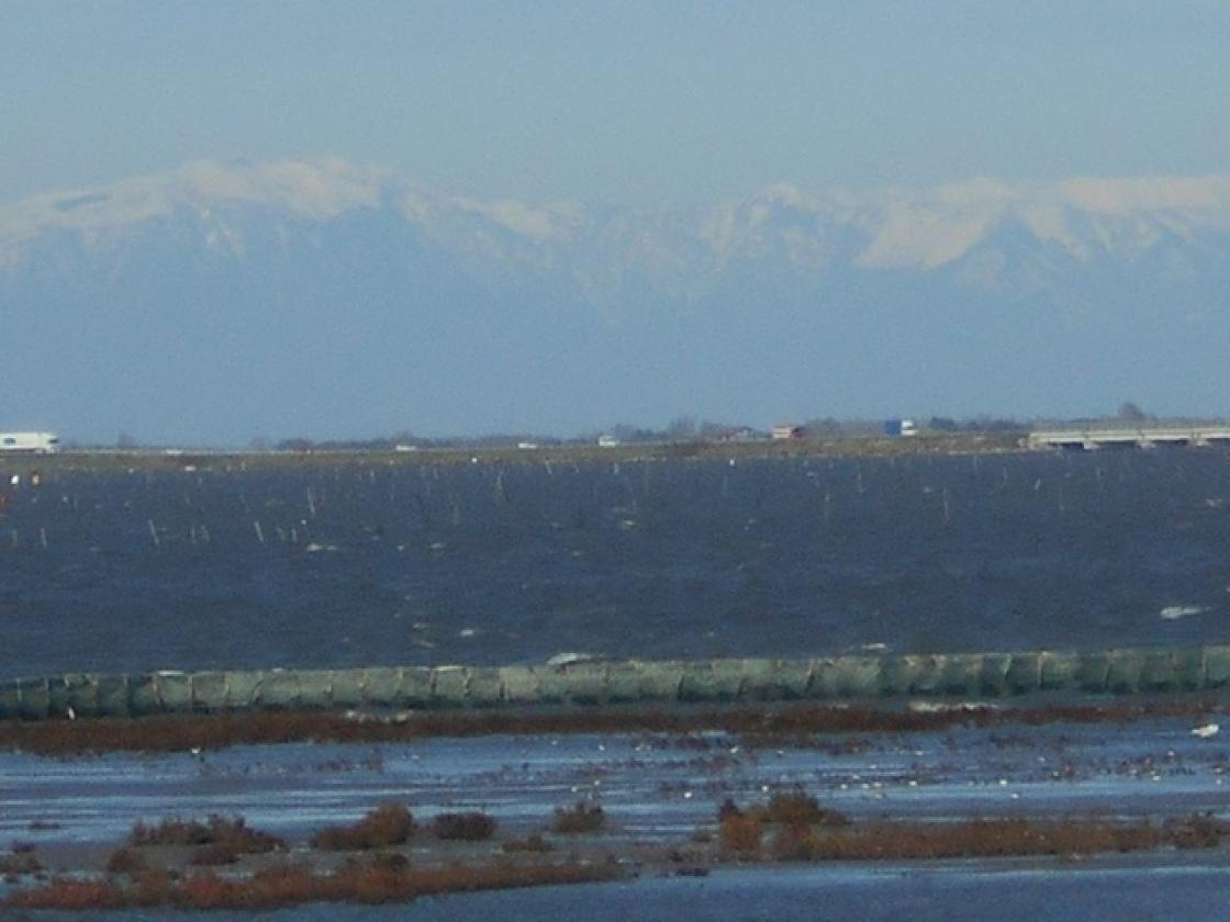 panorama4