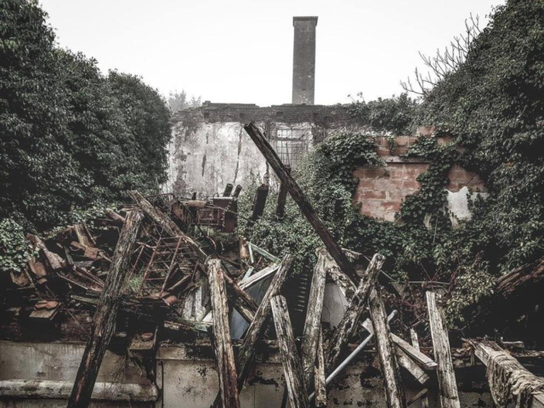 Poliambulatorio Trecenta (8)