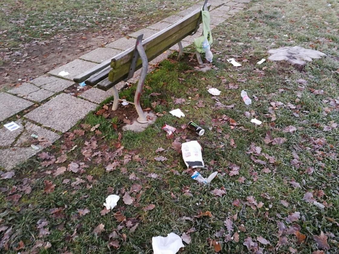 PARCO BORTOLINA Qualche giorno dopo la pulizia del