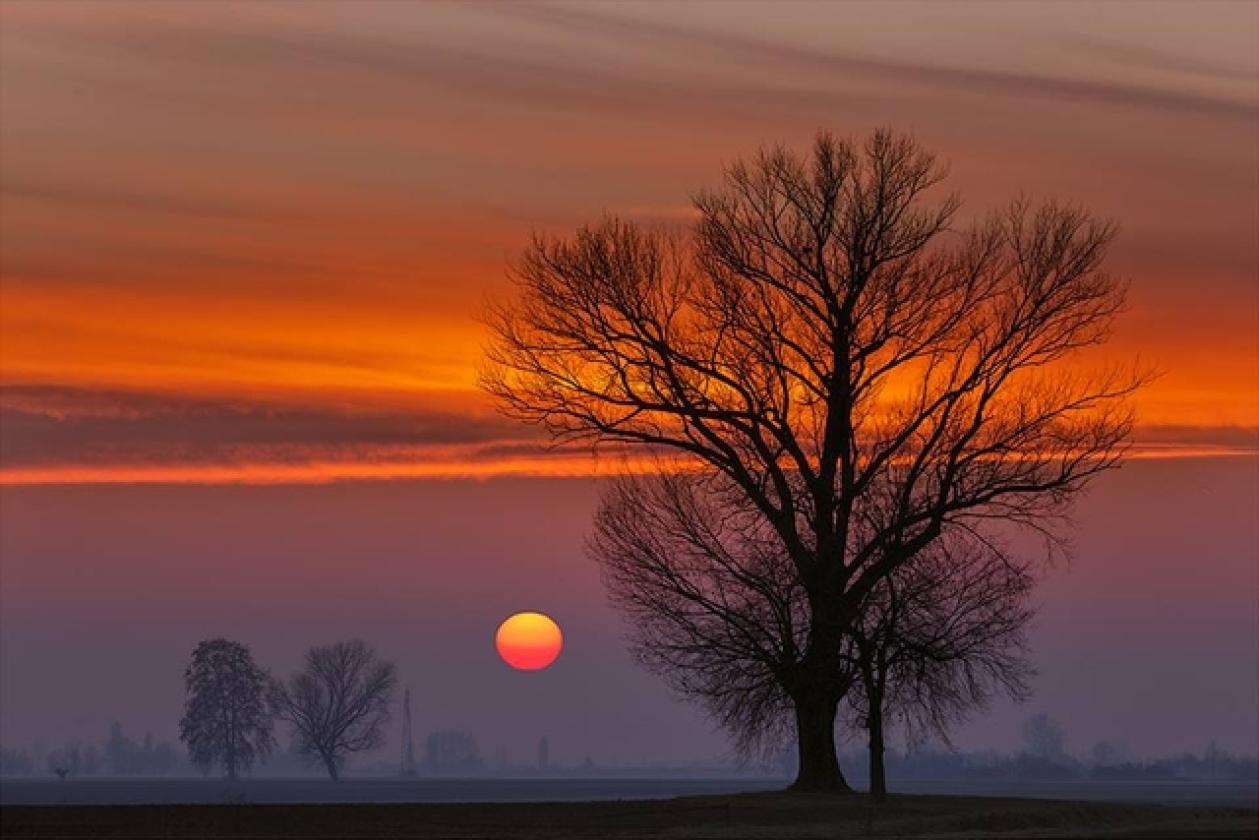 tramonto luca negri