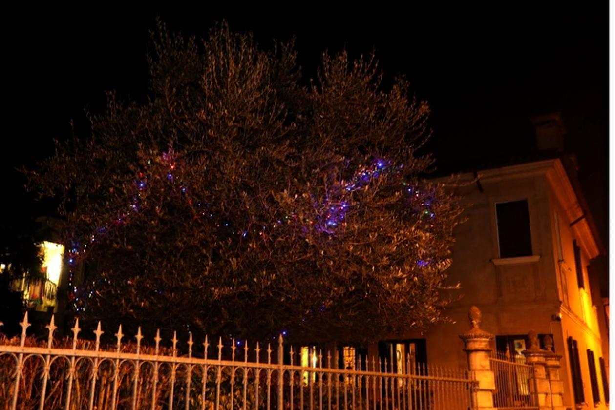 Grignano Natale 2