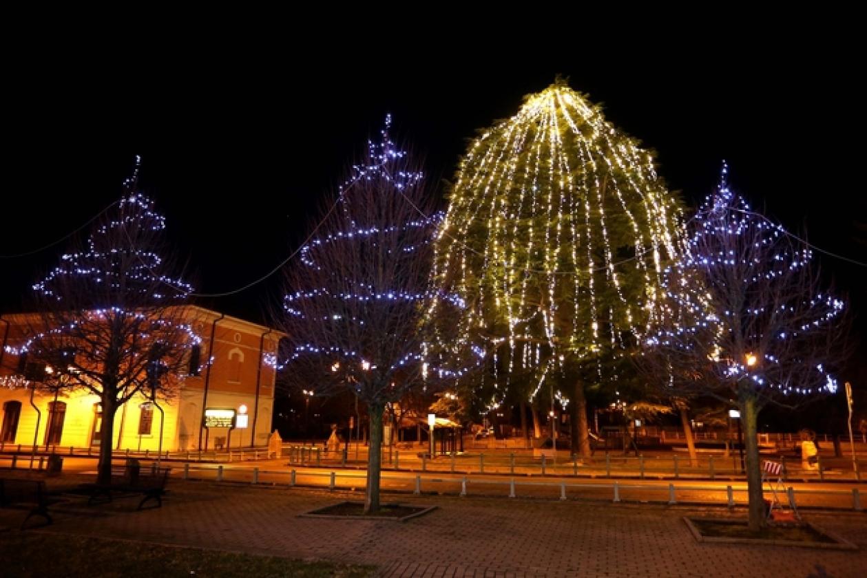Canaro Luminarie 1