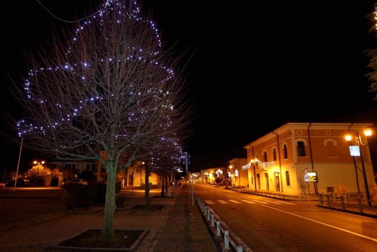 Canaro Luminarie 2