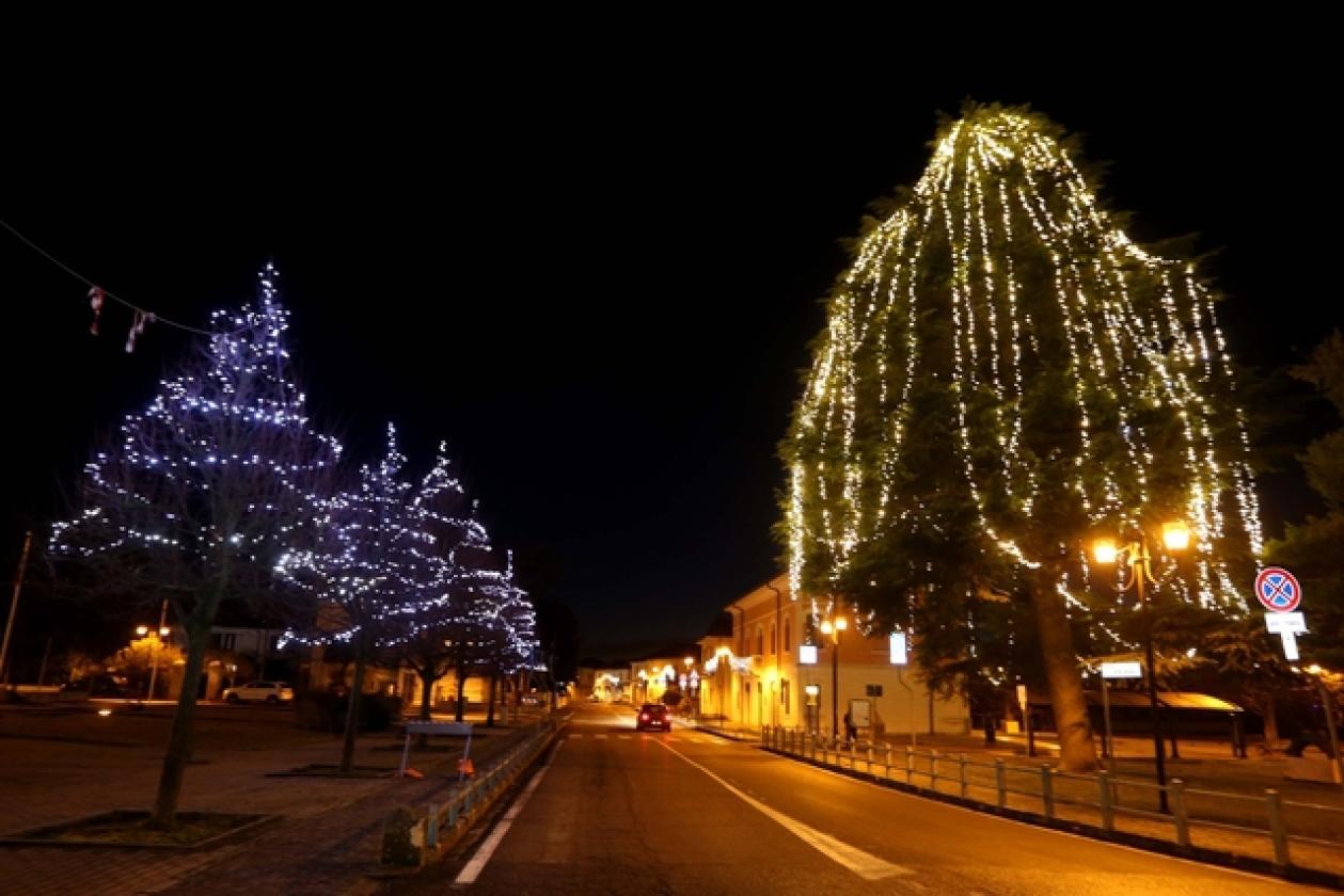 Canaro Luminarie