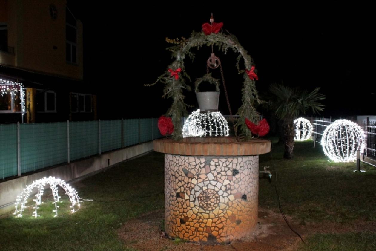 Lama Luminarie 3