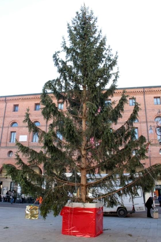 Albero di Natale Piazza 4