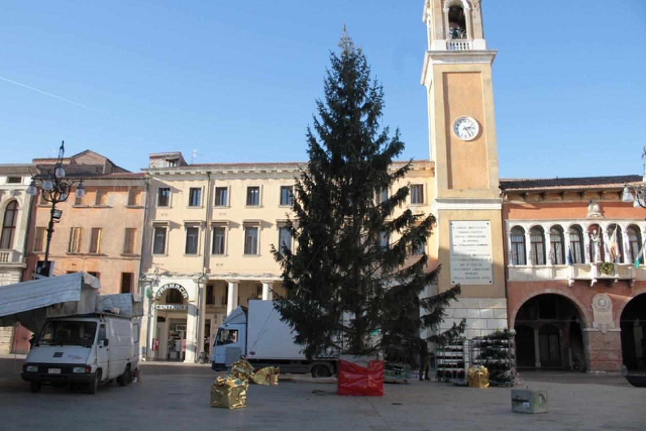 Albero di Natale Piazza 6