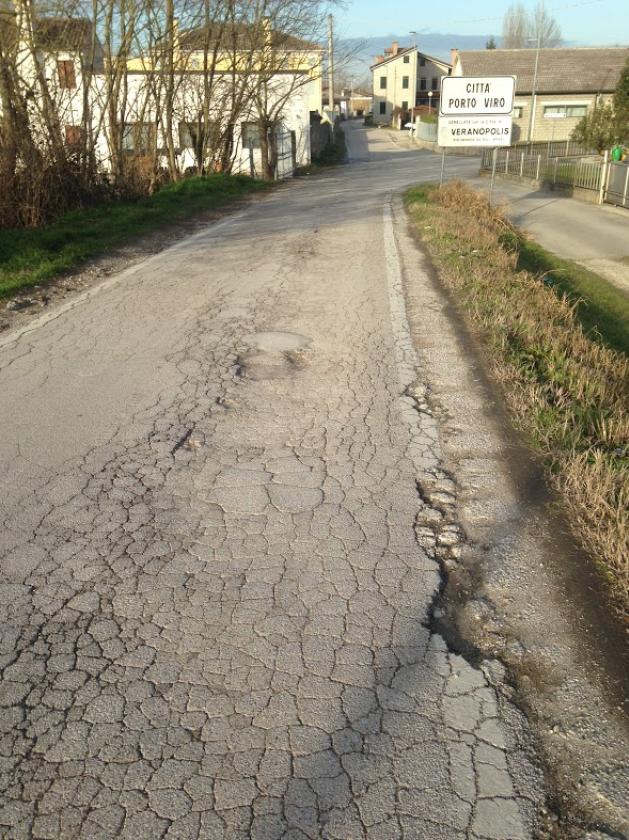 negrelli (5)