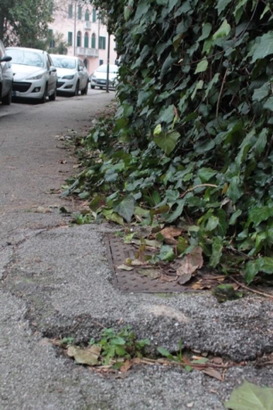 Via Gattinara 2