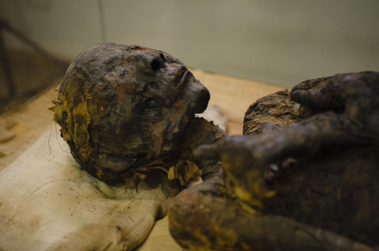 riesumate le mummie (3)