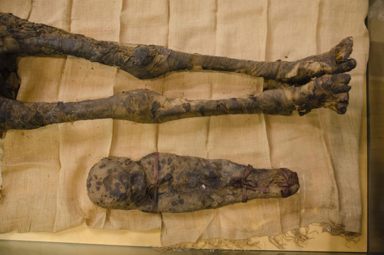 riesumate le mummie (5)