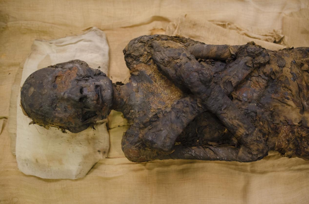 riesumate le mummie (6)