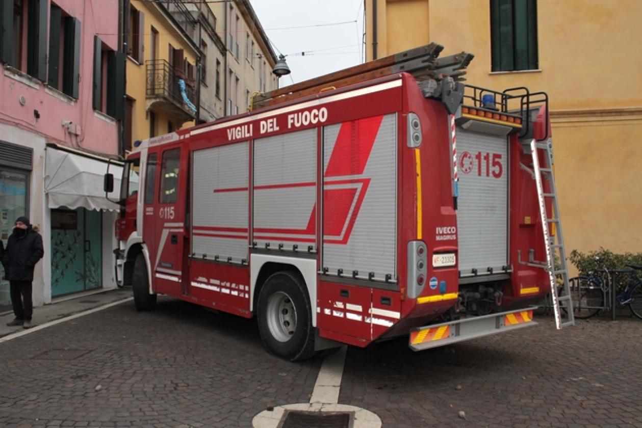 Piazza Roma Vigili del Fuoco Albero 1