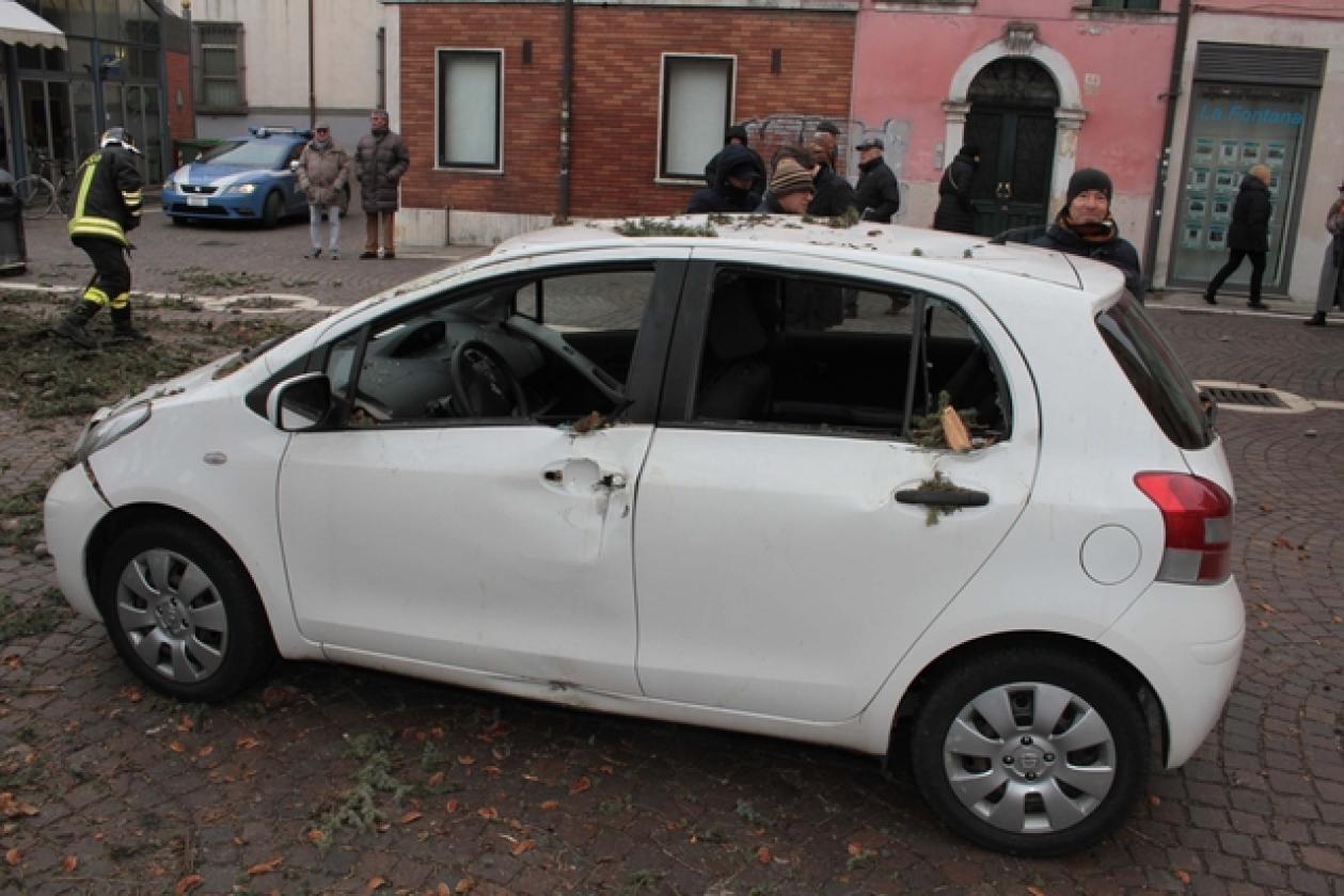 Piazza Roma Vigili del Fuoco Albero 17