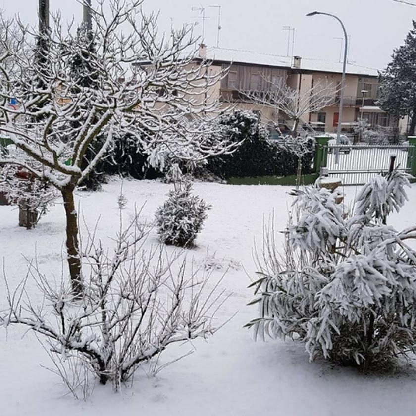 NEve a Loreo