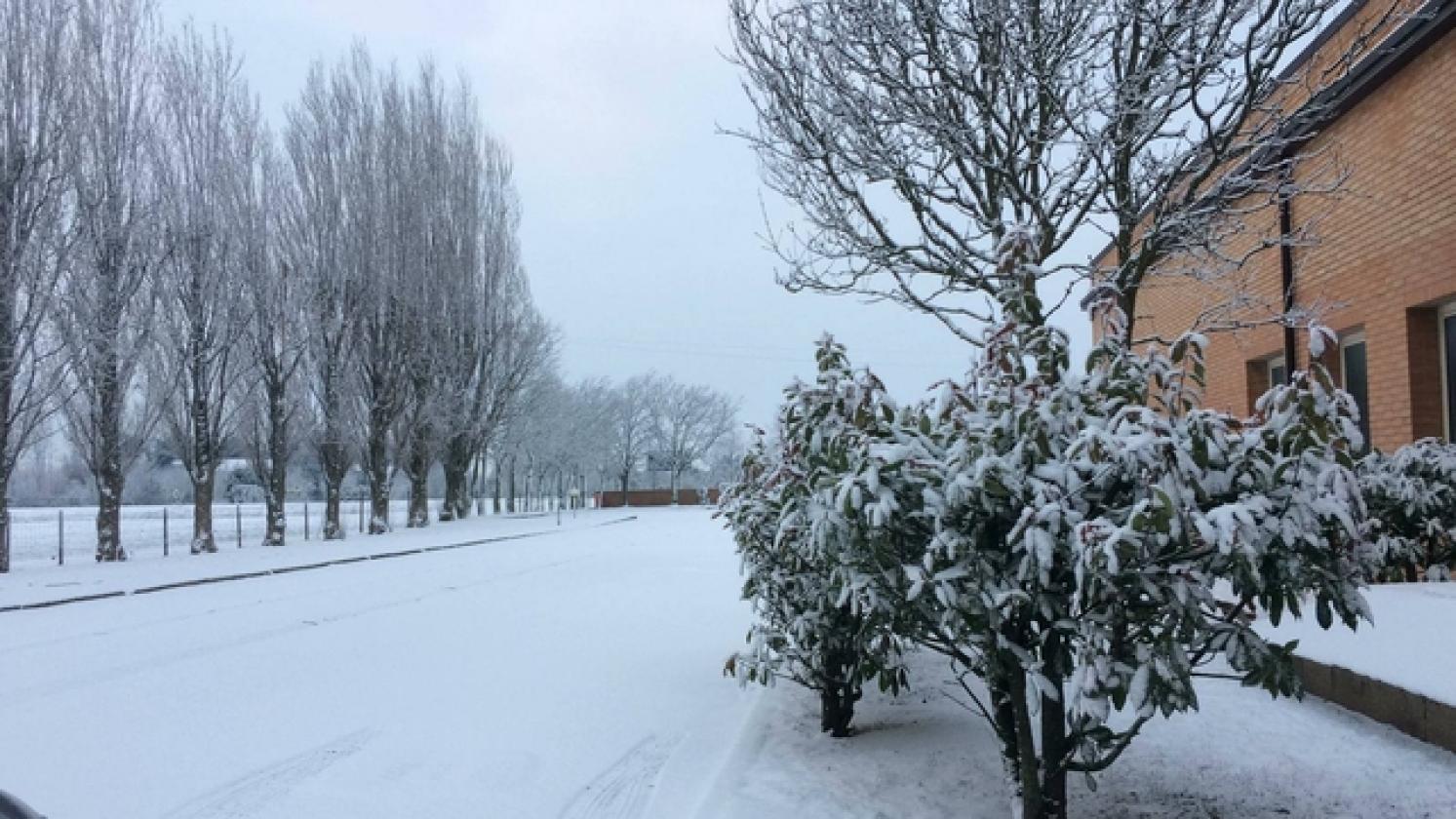 neve porto Viro