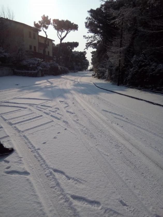 neve rosolina mare Camilla Ganimede