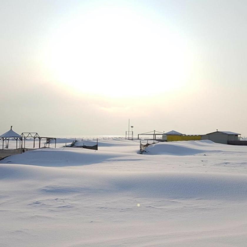rosolina mare neve