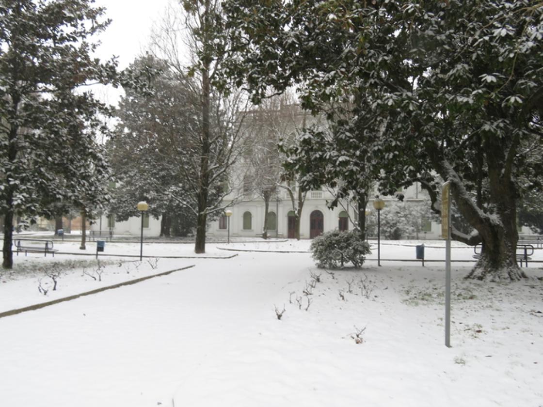 ADRIA Villa Mecenati, sede del conservatorio (1)