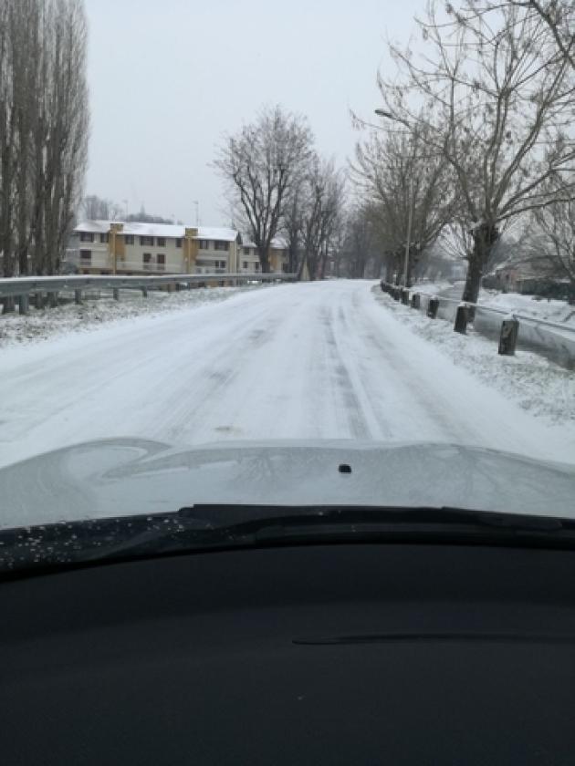 Canda neve 1