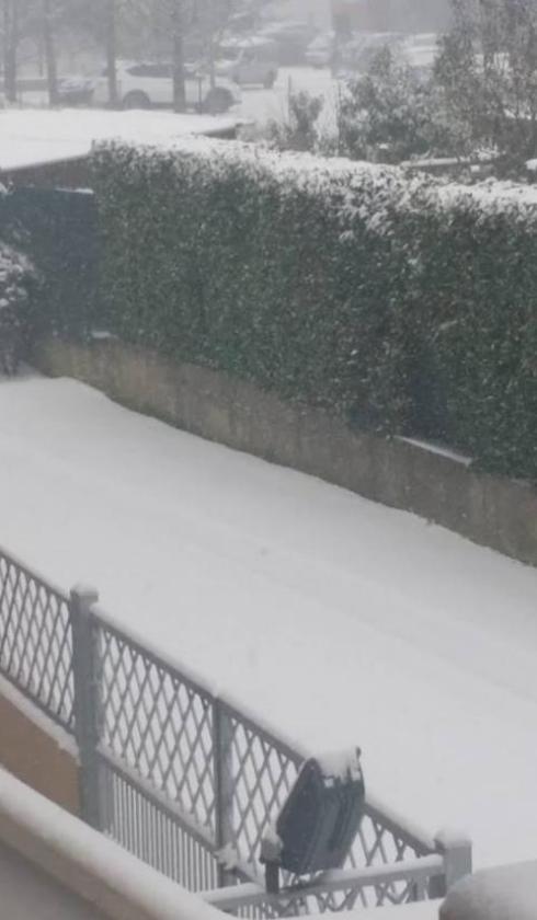 Disagi neve Porto Viro