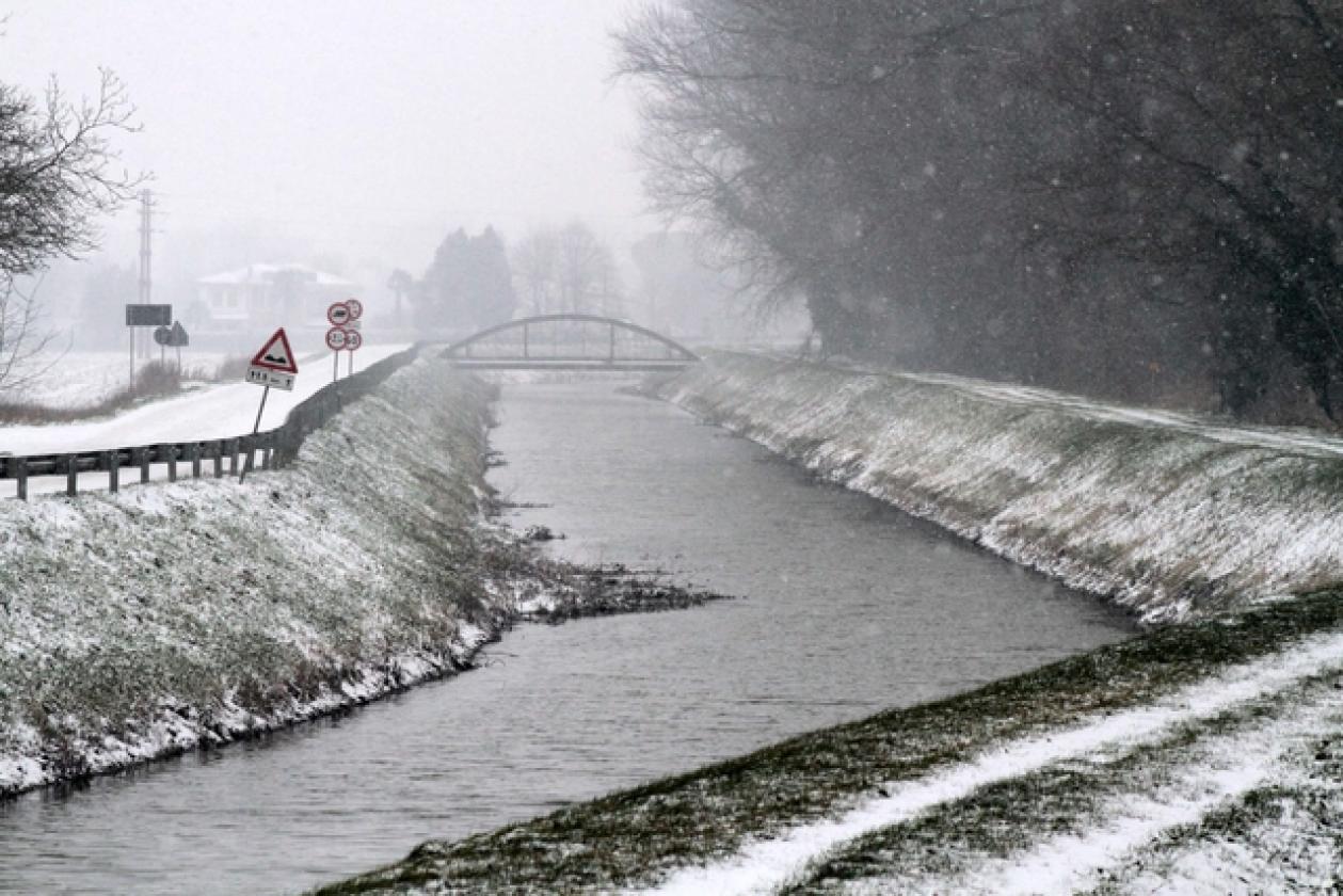 Neve 21