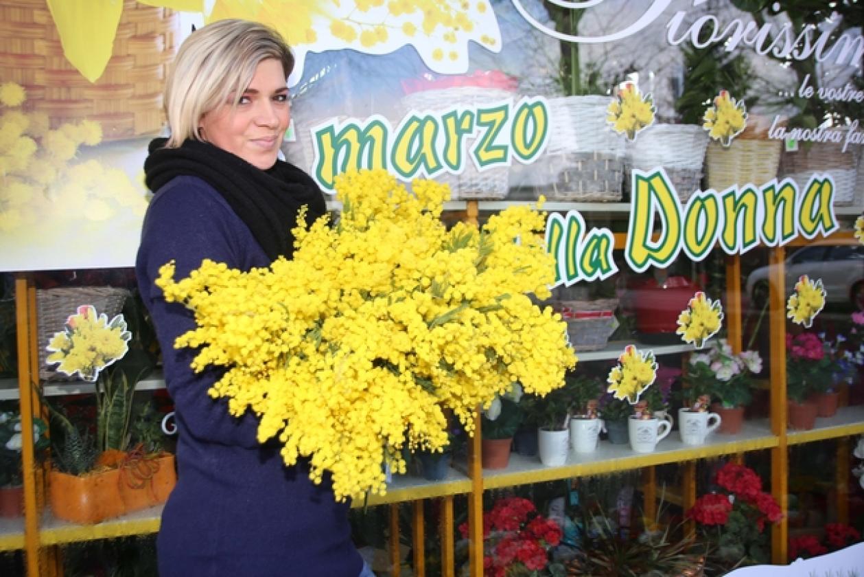 mimosa5