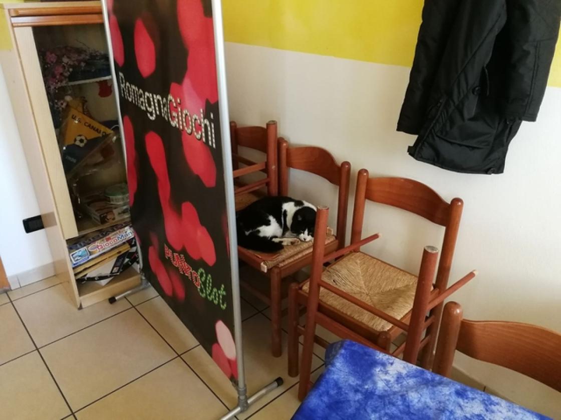 I luoghi di aggregazione di Canaro (2)