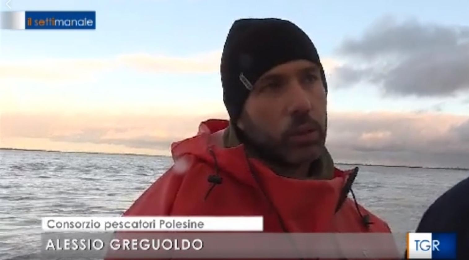 Vongole Delta Alessio Greguoldo