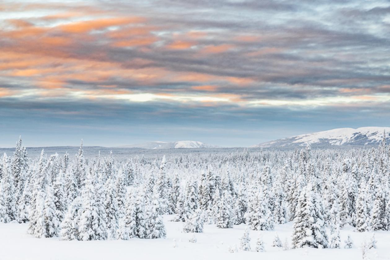 alaskan_highway_landscape_site7