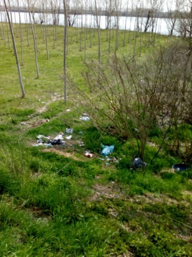 Volontari argine del Po Calto (2)