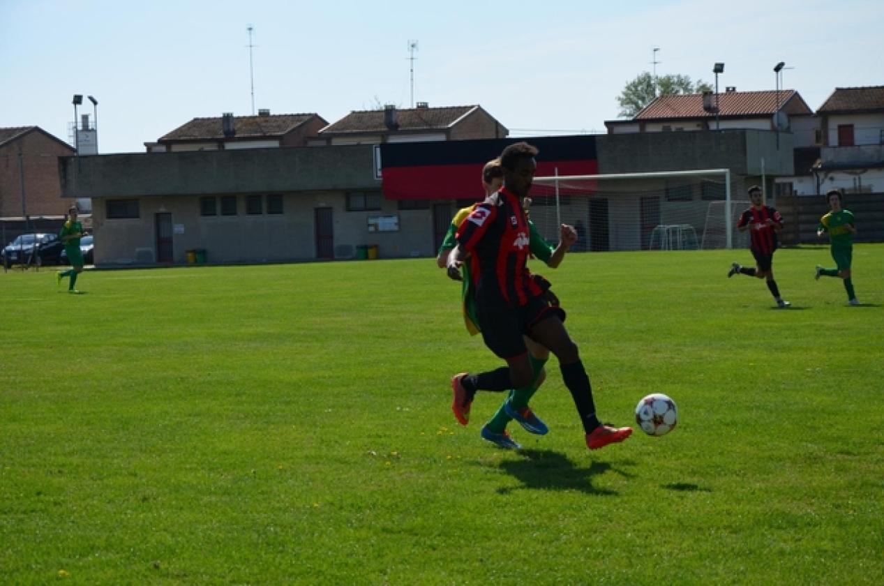 Romagnolo Bocar