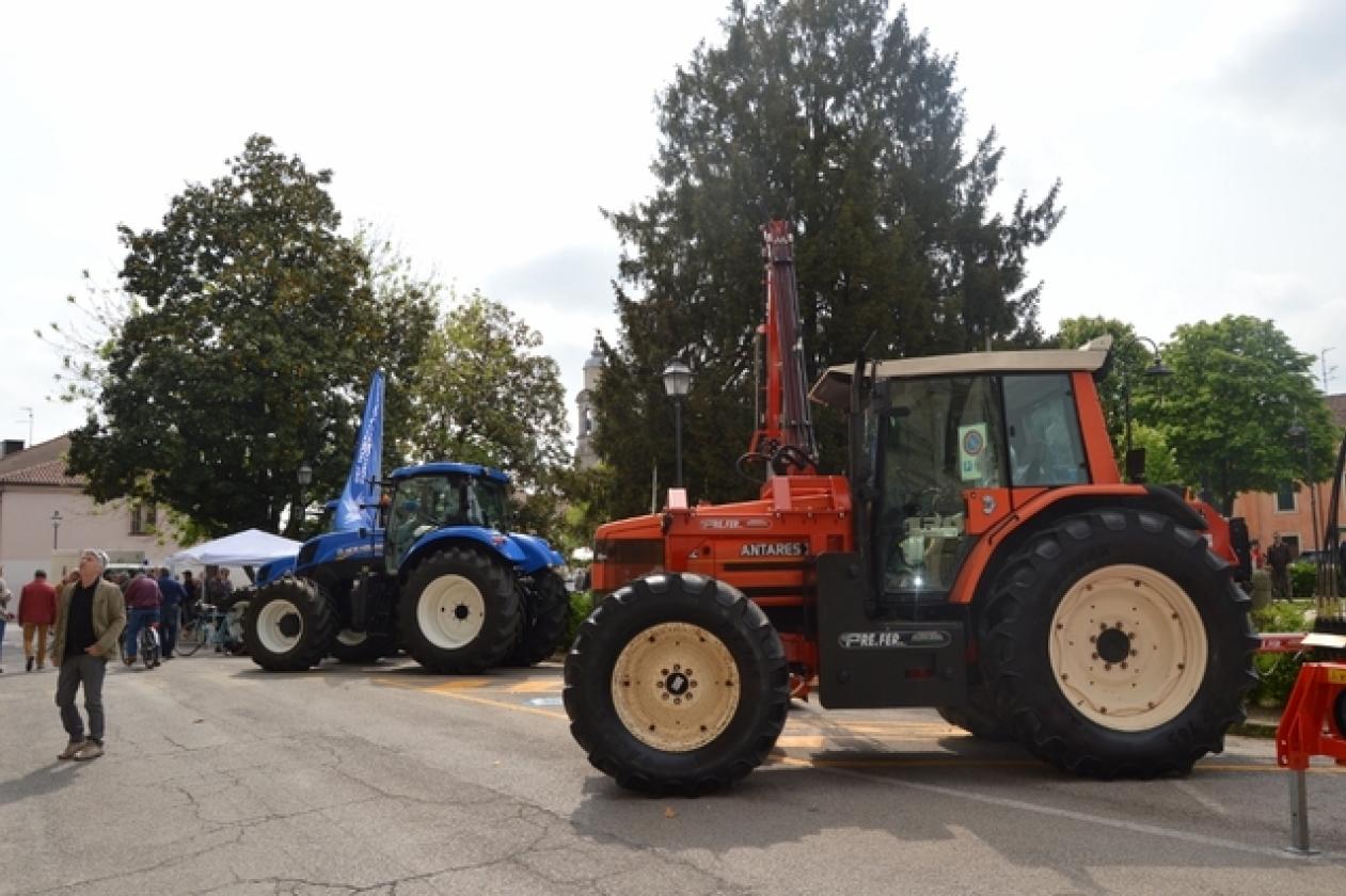 fiera San Marco 2015 (8)
