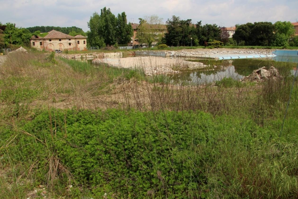 baldetti8