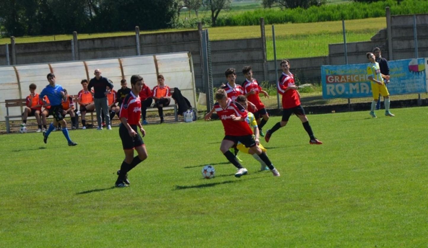 Bovo bocar