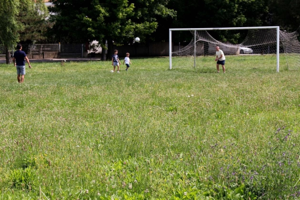 Parco Cibotto Commenda 1