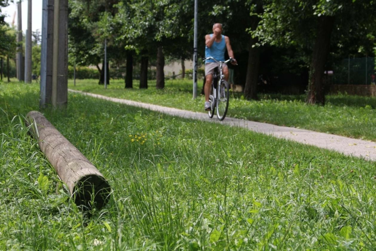 Parco Cibotto Commenda 4