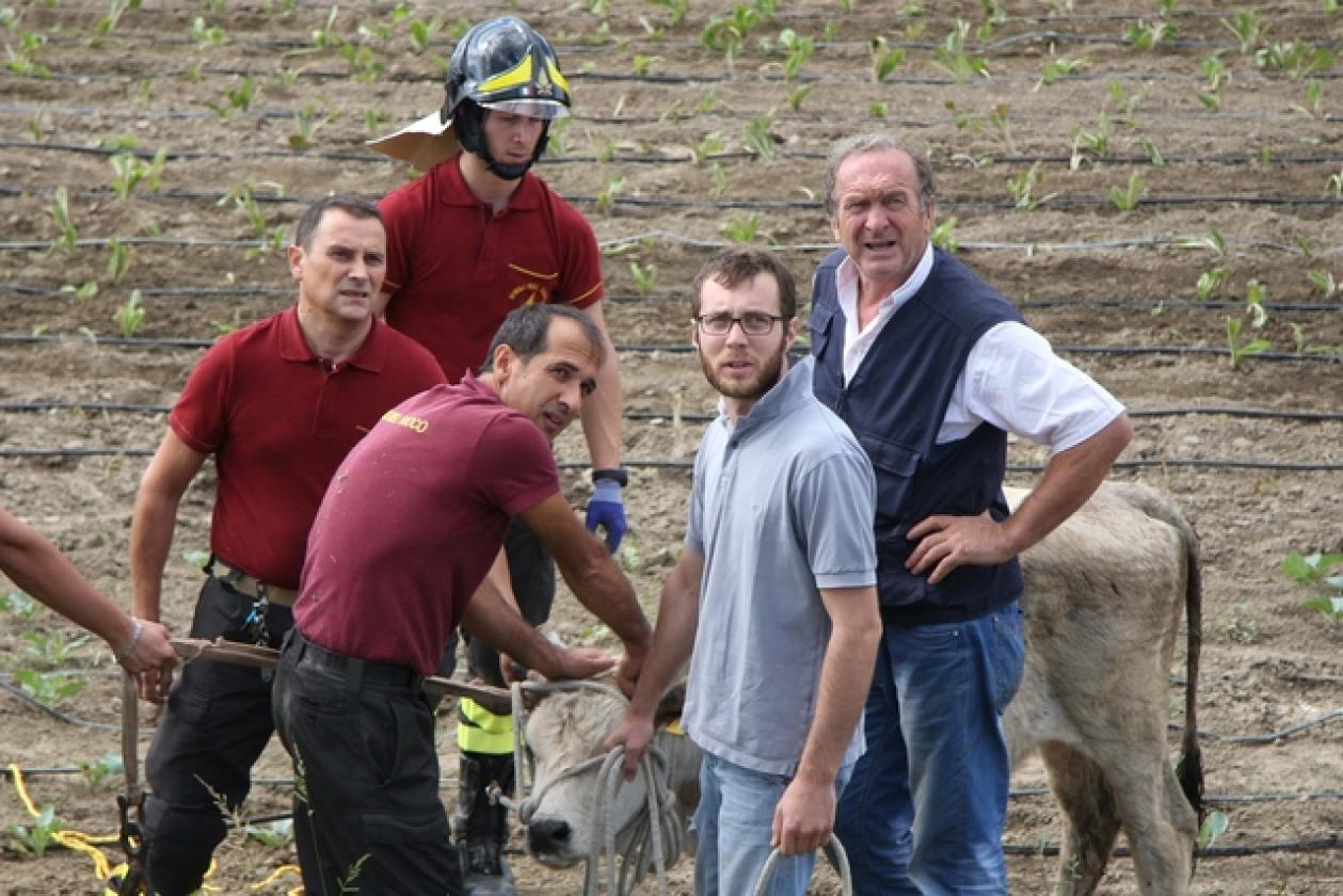 Frassinelle Toro