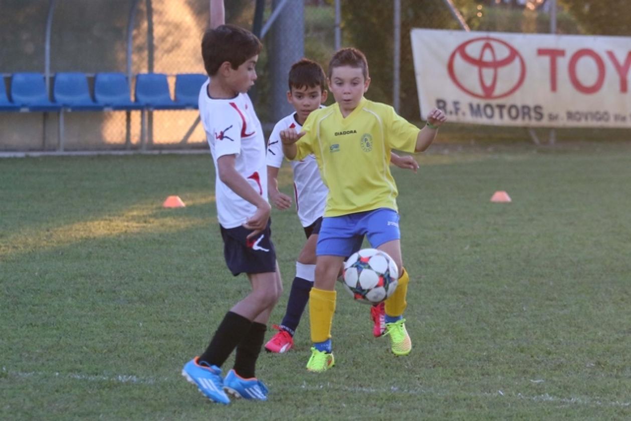 Borsea calcio 5