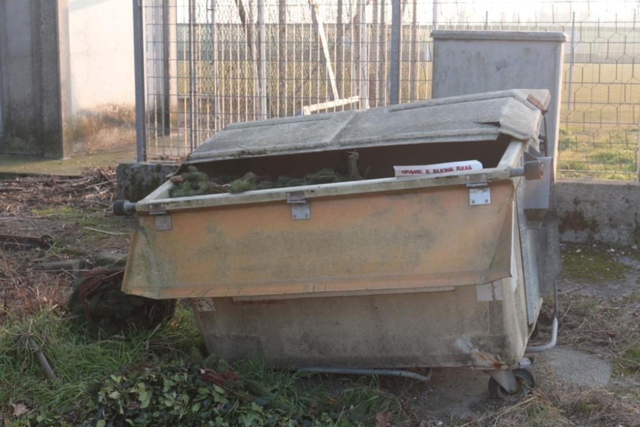 Frazioni Fenil del Turco (6)