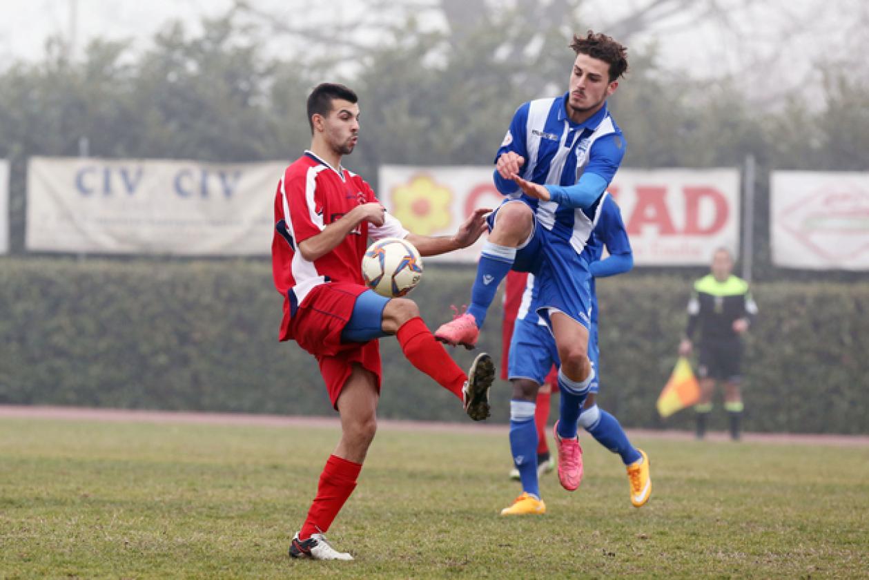 Castlefranco Delta Rovigo (9)