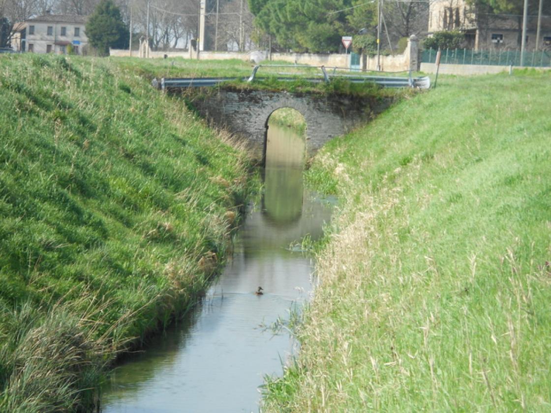 CAVANELLA PO Uno scorcio suggestivo dell'ambiente 