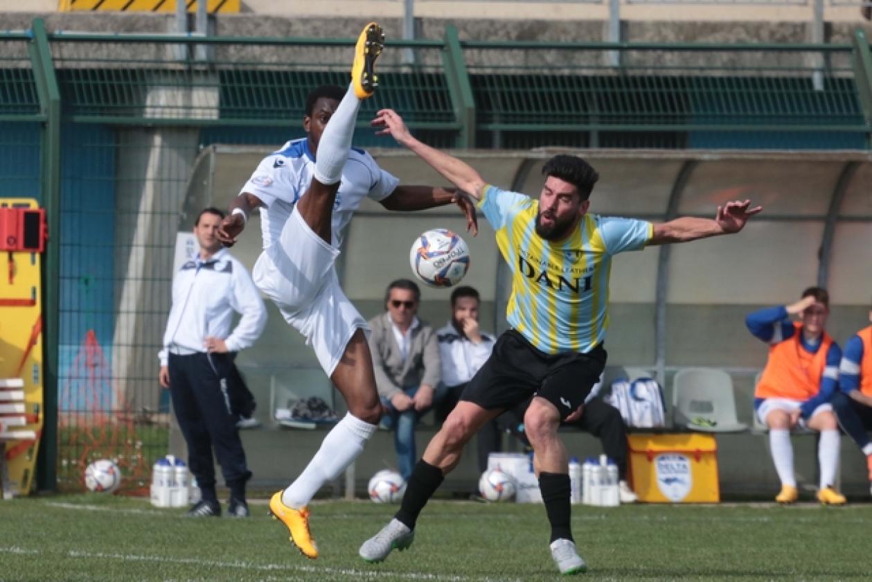 Delta Rovigo vs Union Arzignano 7