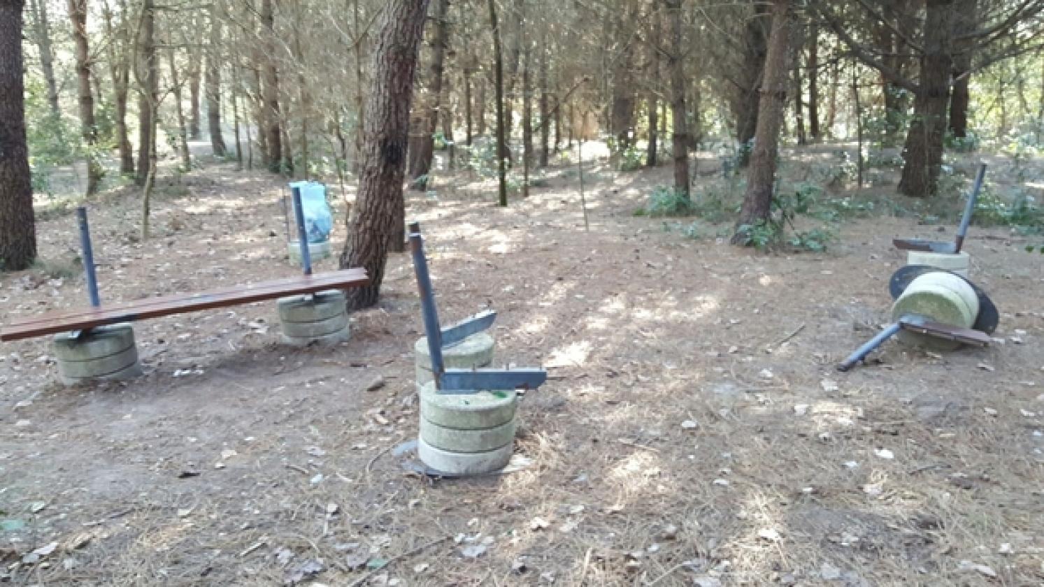 Parco San Giusto Porto Viro (3)