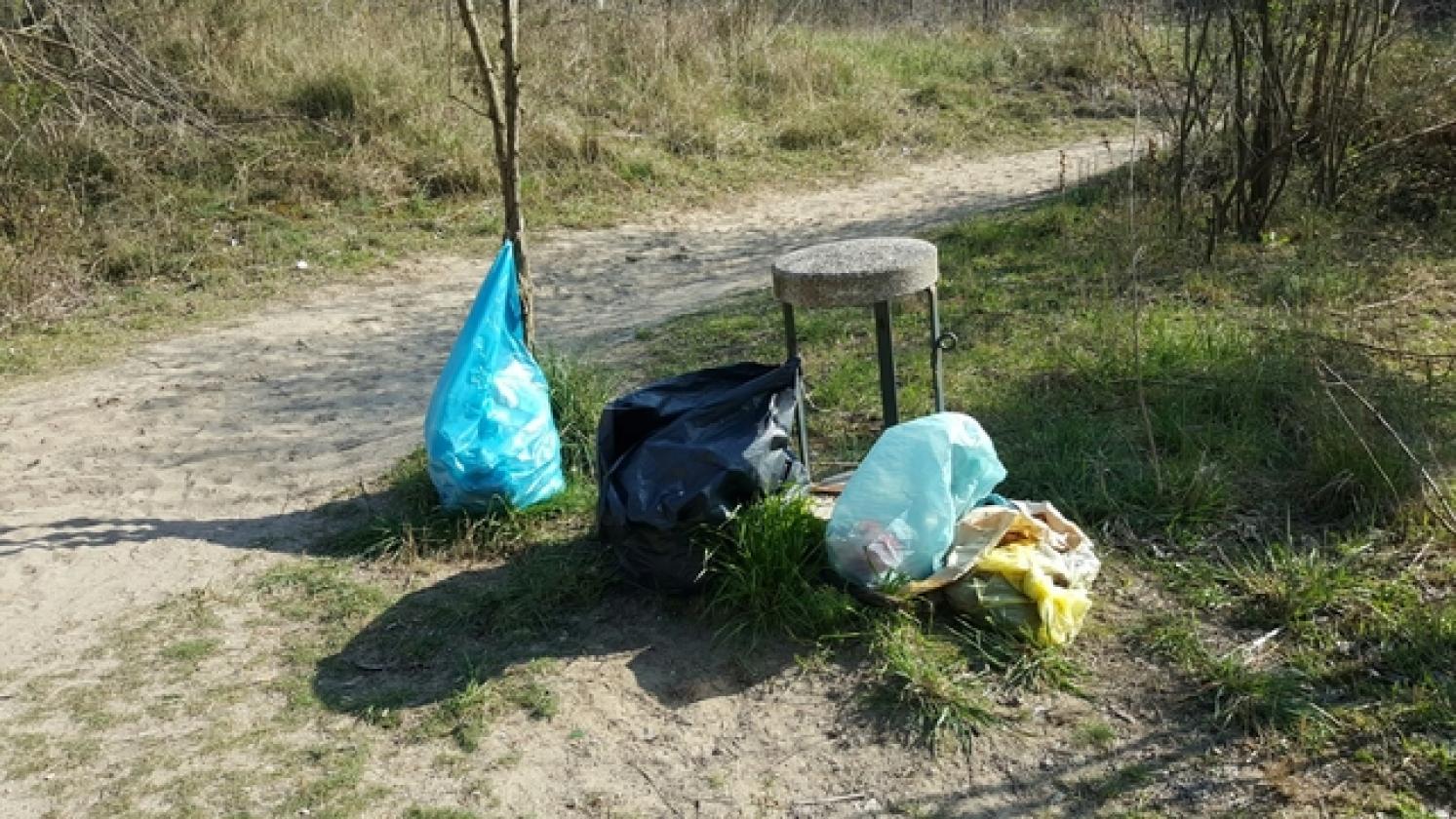 Parco San Giusto Porto Viro (7)