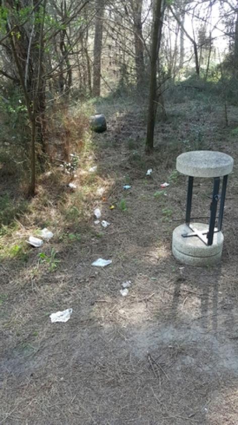 Parco San Giusto Porto Viro (8)