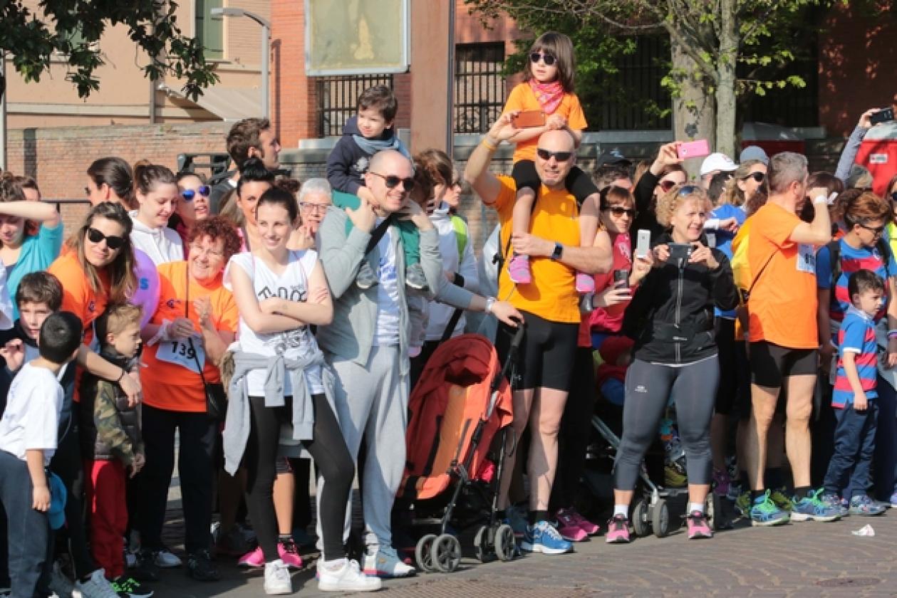 HalfMarathon 19